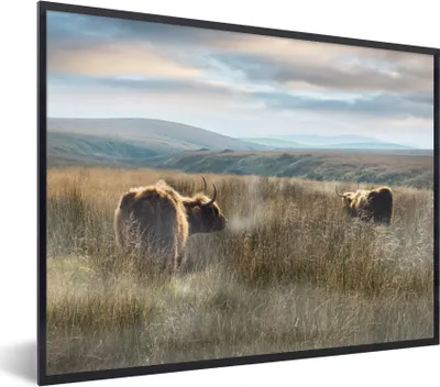 Produktbild von MuchoWow® Gerahmtes Poster Schottische Highlander - Nebel - Gras 80x60 cm - Poster mit Schwarzem Bilderrahmen Wandposter Rahmen Foto Bilder - Schwarzem - Mit Gestell