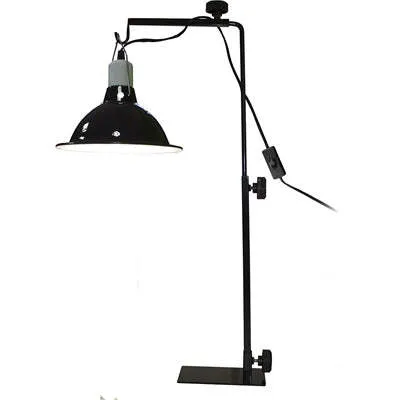 Immagine prodotto di Komodo Light Standard