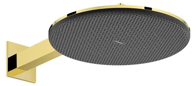 Image de hansgrohe Raindance Alive S Douche de tête 300 2jets, 24540990
