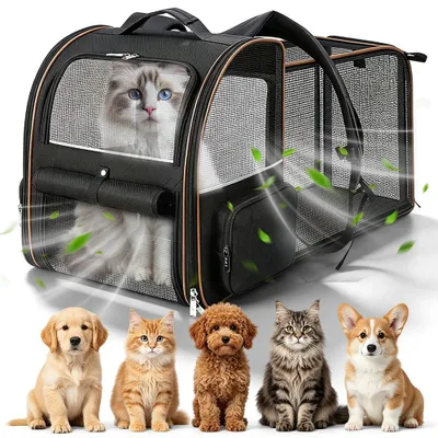 Erweiterbarer Haustierrucksack für Katzen & Hunde bis 7 kg, schwarz