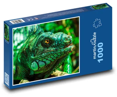 Obrázok produktu pre Puzzle 1000 Zelený leguán v džungli - martinpuzzle