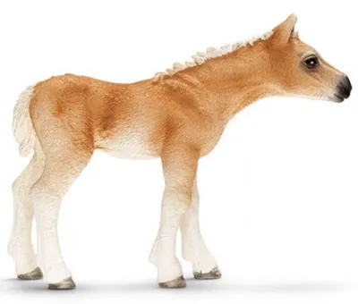 Produktbild von schleich Haflinger Fohlen, 3 Jahr(e), Beige, Kunststoff