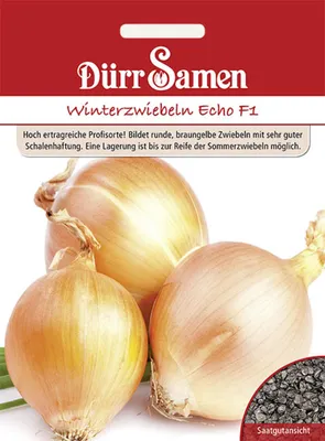 Produktbild von Dürr-Samen - Winterzwiebeln Echo F1 - Saatgut - 1942