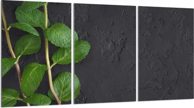 Produktbild von Glasschutzplatte für Herd 3x30x52