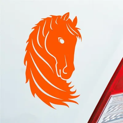 Produktbild von Auto Aufkleber Pferd Horse Pony Pferdeliebhaber Reiten 15x9 cm Orange Sticker Heckscheibenaufkleber