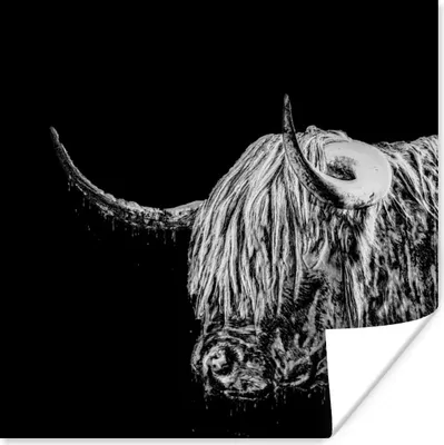 Produktbild von MuchoWow® Poster Schottischer Highlander - Kuh - Schwarz - Weiß 50x50 cm - Wohnzimmerdekoration