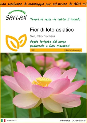 Immagine prodotto di SAFLAX Garden in the bag - Fior di loto asiatico - 8 semi - Nelumbo