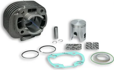Produktbild von Malossi Gusseisenzylinder D 40 für 318562