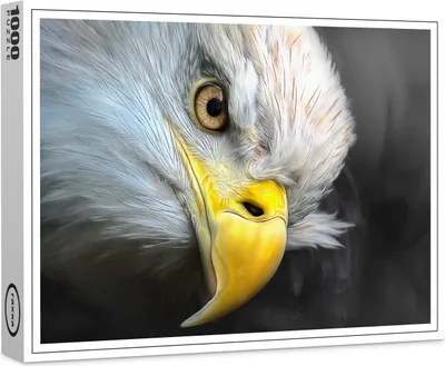 Image de puzzle raxxa Premium "Vue d'aigle", 1000 pièces