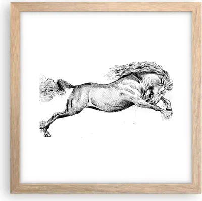 Produktbild von Gerahmtes Poster - Rahmen in heller Eiche - Pferd Zeichnung Bleistift - 30x30 cm - Wand Bild - Wanddeko - Wandbilder - Kunstposter - Wandposter - Bilderrahmen - Bilder - Kunstdruck - P2NAC30x30-4906