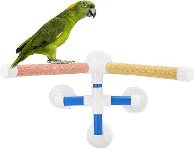 Image de Perchoir à ventouse, plate-forme solide à suspendre aux fenêtres pour les oiseaux