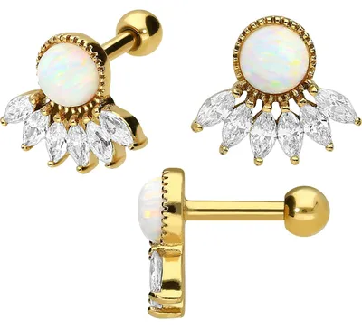 Produktbild von Ohrpiercing Chirurgenstahl Ohrpiercing 6 EINGEFASSTE KRISTALLE + SYNTHETISCHER OPAL