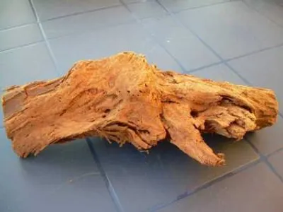Produktbild von Wurzel aus Mahagoni 20-25cm für Aquarium Terrarium
