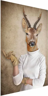 Produktbild von Posterpapier Poster - Lady of the House 60x90 cm Tiere g-B-0126-ao-a