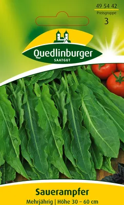 Produktbild von Sauerampfer