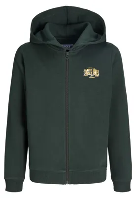 Obrázok produktu pre JACK & JONES Jjaero mikina s kapucňou a zipsom, detská