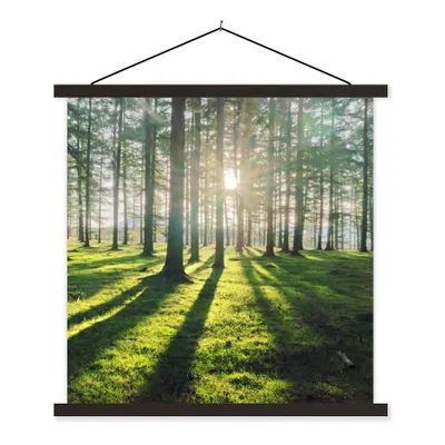 Produktbild von MuchoWow® Textilposter Bäume - Natur - Wald 90x90 cm mit schwarzem Rahmen - Magnetisches