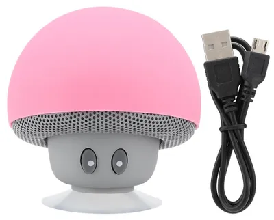Obrázek produktu pro Mini bezdrátový přenosný reproduktor Bluetooth s funkcí přísavky (růžový)