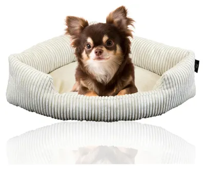 Image de Coupe-tube XXL Lit d'angle pour grands chiens | Couverture douce en velours côtelé pour coin | Grand lit pour grands chiens ou 2 chiens | Coussin pour chien en velours côtelé, grandes tailles, taille : taille 1