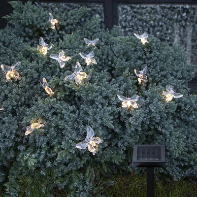 Zdjęcie produktu dla Łańcuch ogrodowy Led solarny Papillon