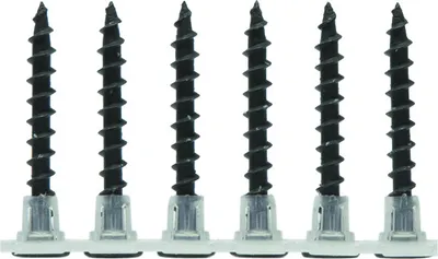 A row of six screws on a white background.