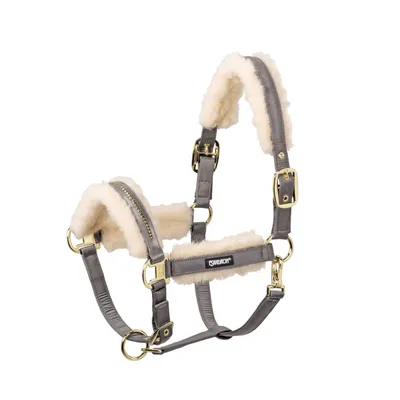 Produktbild von Eskadron Basic Doublepin Evo Wool Halfter