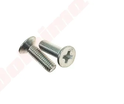 Immagine prodotto di Vite carburatore per Walbro Wyl M3X0.5X8Mm