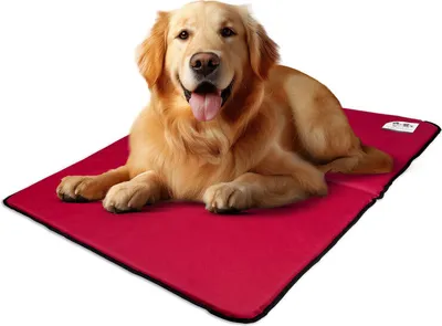 A golden retriever dog lying on a red pet mat.