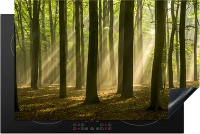 Produktbild von KitchenYeah© Herdabdeckplatte Licht - Wald - Laub , 81x52cm, Küche Deko, Glaskeramikkochfeld Herdabdeckung, Abdeckplatte fùr Kochfeld