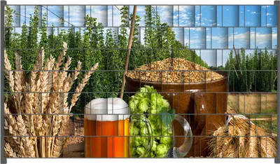 Produktbild von Wallario Zaunsichtschutz mit Motiv Frisch gezapftes Bier, Hopfen und Malz für Ein- und Doppelstabmatten Zäune in der Größe 250 x 140 cm