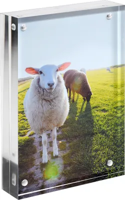 Produktbild von Magnetrahmen 10x15cm aus Acrylglas, 30mm stark / magnetischer Bilderrahmen / Magnet / Rahmen / Fotorahmen / Acryl / Familienfoto / Hochzeit / Zeigis®