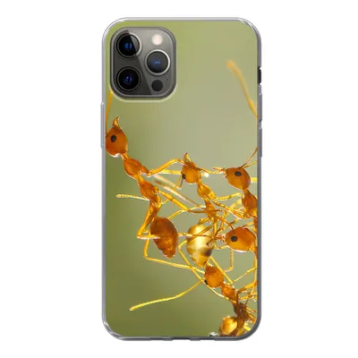 Produktbild von MuchoWow® Handyhülle Schutzhülle Hülle für iPhone 12 Pro Ameisen - Orange - Tiere Silikon Softcase Handy Hülle - Abdeckung