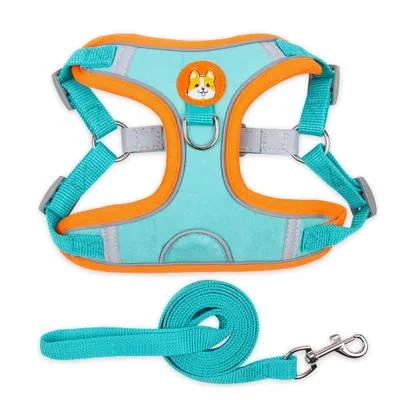 Produktbild von 2er Pack Haustiergeschirr mit Leine, Hundegeschirr mit 360°-reflektierendem Design, Grün-Orange - C2ATAROUND 1+1 Gratis