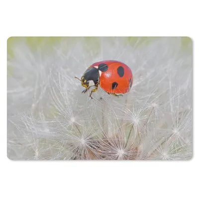 Produktbild von MuchoWow® Mauspad Mousepad Marienkäfer auf Löwenzahn 27x18 cm - Mousepads - Maus Mat - Pad - Mausunterlage - Büroartikel - Desk Matten