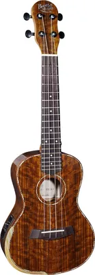 Obrázek produktu pro Barnes & Mullins BMUK5CE