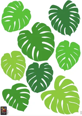 Productafbeelding van Plakfolie met tropische bladeren, vinyl, groen, 21 x 3 x 29,6 cm