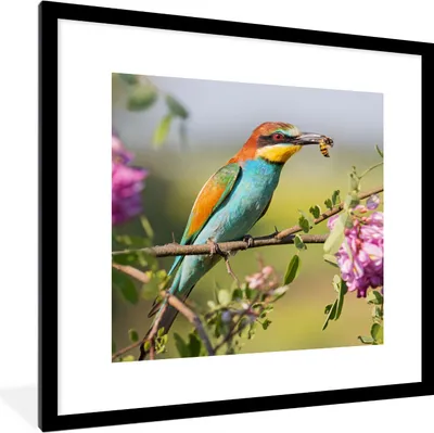 Produktbild von MuchoWow® Gerahmtes Poster Vogel - Bienenfresser - Blumen 40x40 cm - Poster mit Schwarzem Bilderrahmen Wandposter Rahmen Foto Bilder - Poster - Plakat im Rahmen