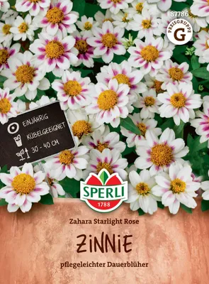 Produktbild von SPERLI Zinniensamen Zahara Starlight Rose Zinnia x hybrida 8 Pflanzen