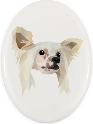Zdjęcie produktu dla Chiński pies z czubkiem – płytka z geometrycznym wzorem i napisem marki Art-Dog