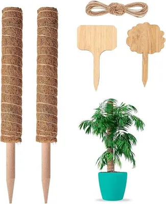Obrázek produktu pro Kokosová tyč pro rostliny, 40 cm, opora pro rostliny, opora pro popínavé rostliny
