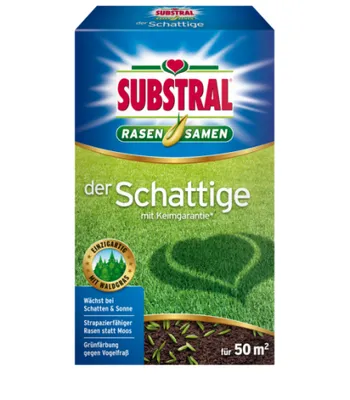 Produktbild von Substral Rasensamen Der Schattige - 1 kg
