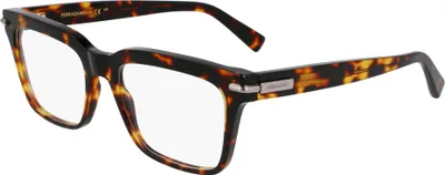 Produktbild von Ferragamo SF3014 Dark tortoise 53/18/145 Herren Brillen