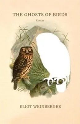 Immagine prodotto di The Ghosts of Birds