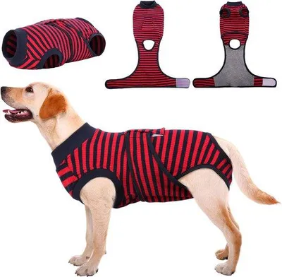 Productafbeelding van Famanu verzorgingsbroek voor honden na castratie - Ademend materiaal, rood, maat XXL