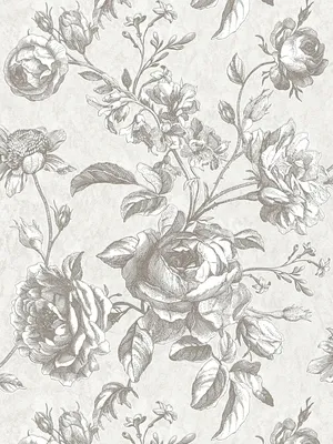 Produktbild von Tapete Rosen-Muster im Vintage Zeichen Stil – Grau, Creme