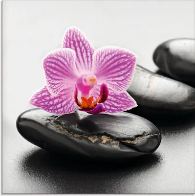 Immagine prodotto di scorpp: Composizione decorativa in vetro con tema spa, pietre zen e orchidea - Dimensioni: 20x20 cm / Composizione decorativa in vetro