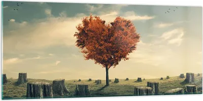 Produktbild von Bilder auf glas - Baum Natur Wiese - 120x50cm - Glasbilder - Wandbilder - Kunstdruck - zum Aufhängen bereit - Wanddekoration aus Glas - Glas Bilder - Wandbild auf Glas - Einteilig - GAB120x50-3751
