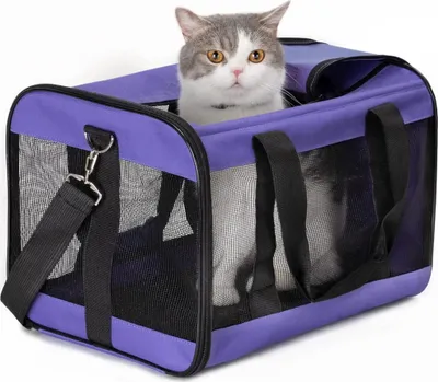 Produktbild von hundebox Faltbar Hundetransportbox Katzentransportbox Katzenbox Transportbox katzentasche für Hund, Katzen, Airline Zugelassen,