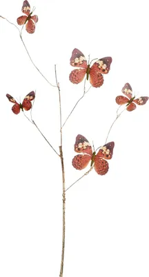 Produktbild von Mica Decorations Zweig mit Schmetterlingen 2 x 94 x 8 cm rost