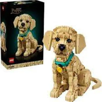 Produktbild von LEGO® Icons 11384 Golden Retriever Welpe